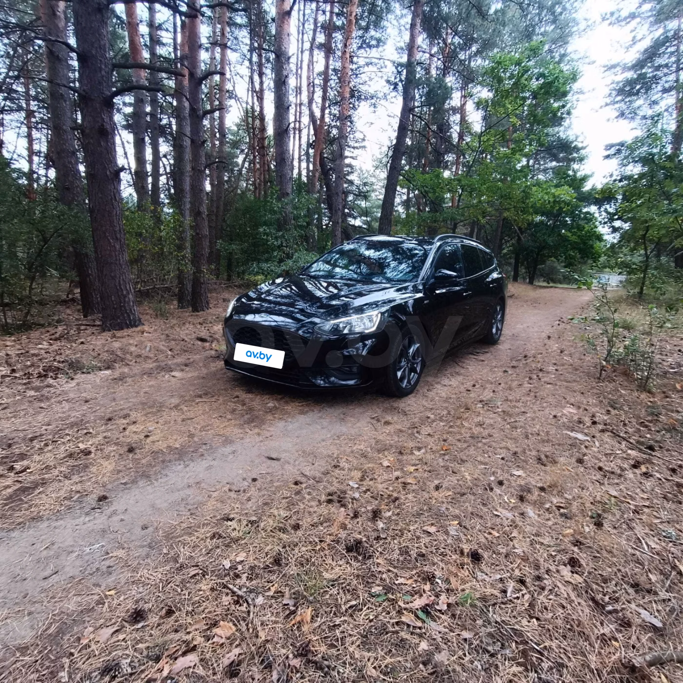 Ford Focus фото 9