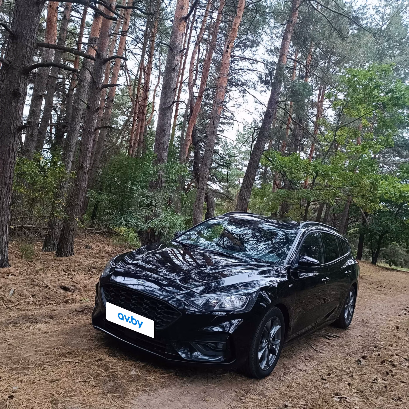 Ford Focus фото 6