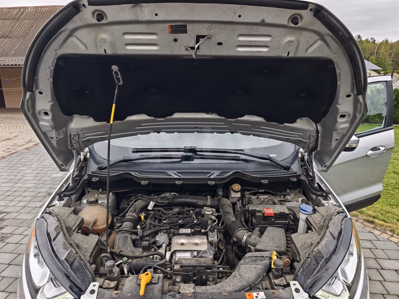 Ford EcoSport фото 13