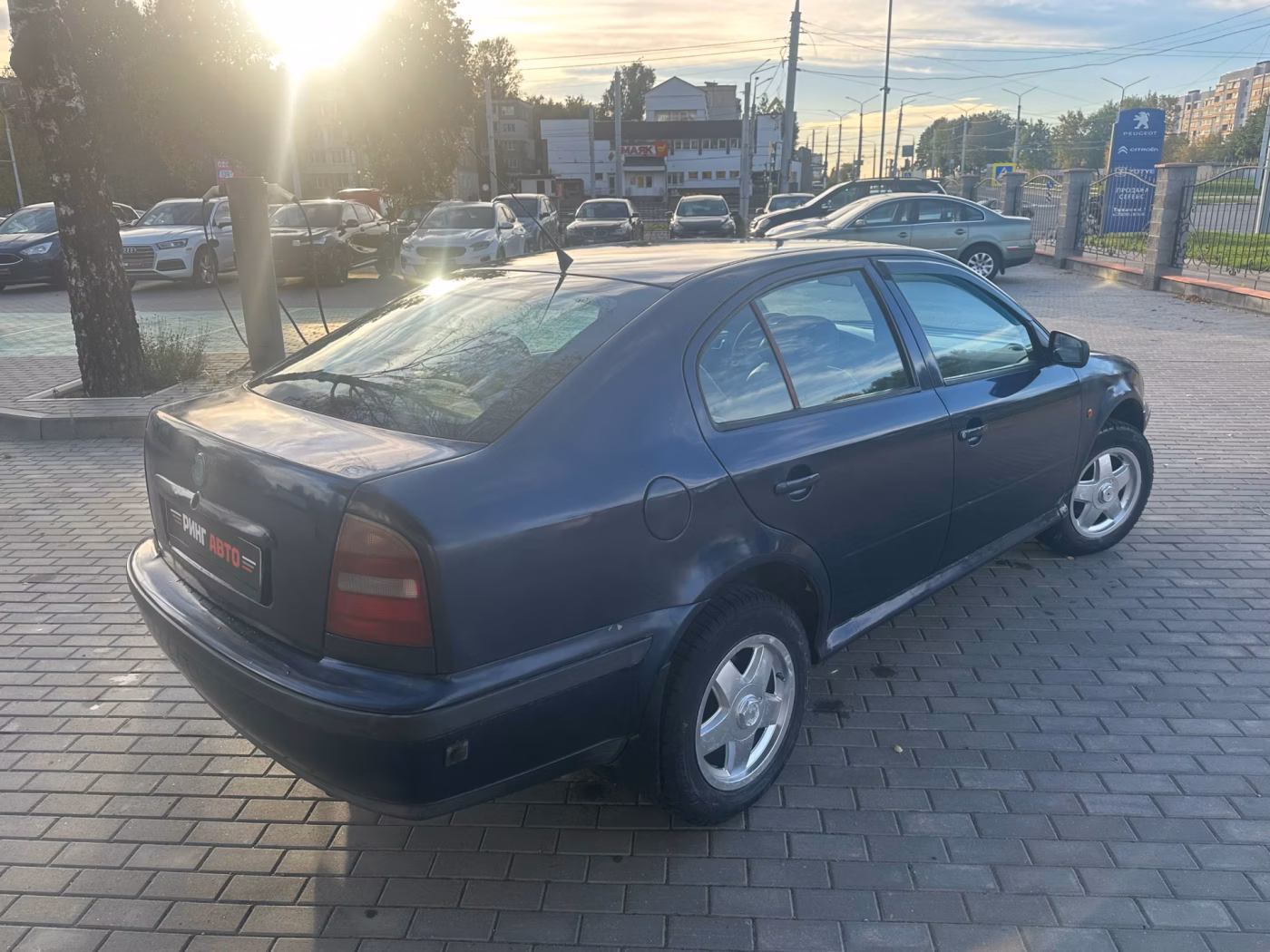 Skoda Octavia фото 5
