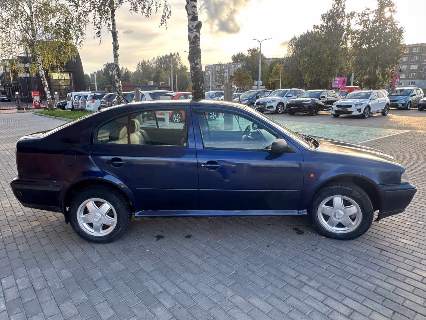 Skoda Octavia фото 4