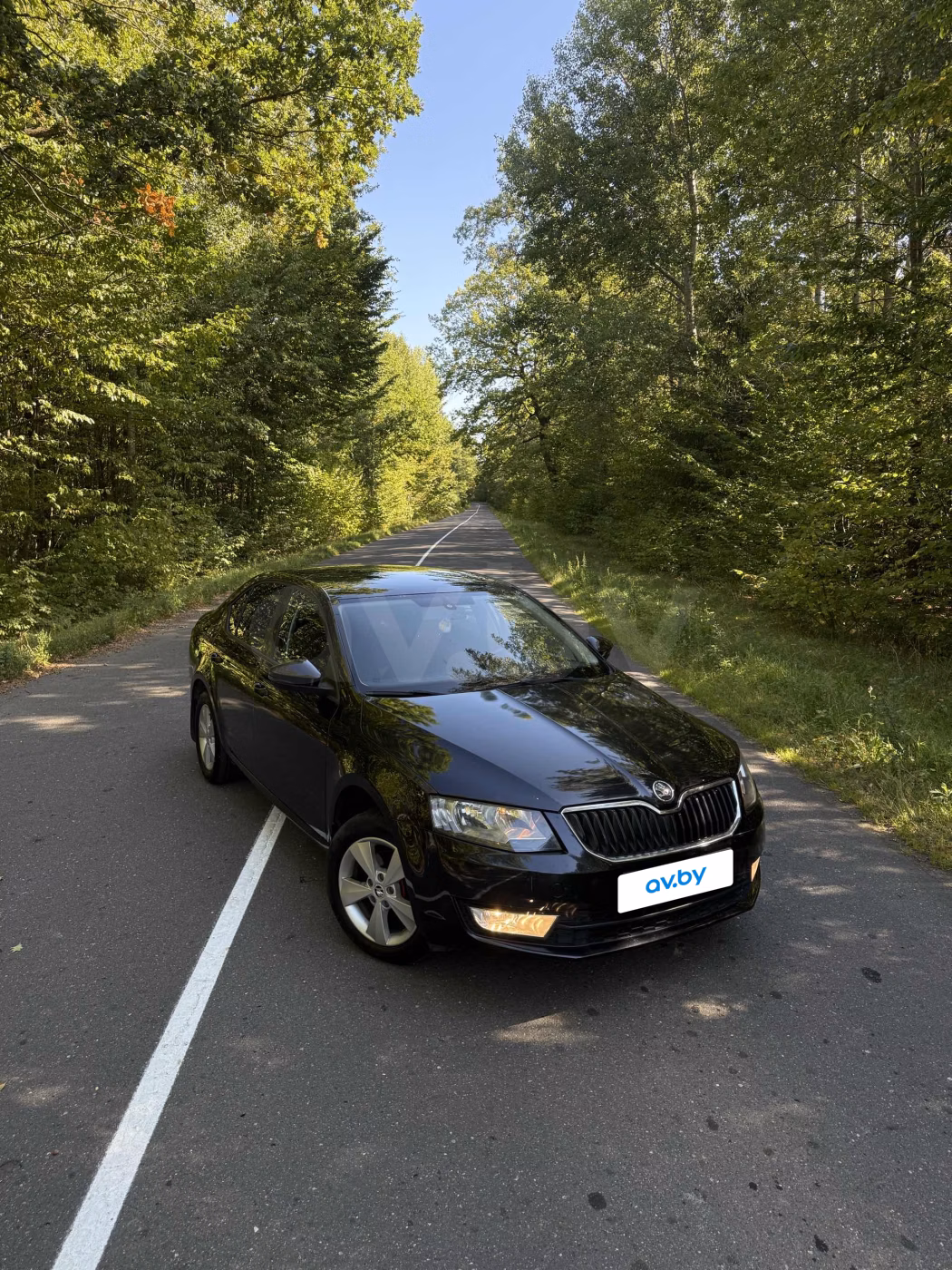 Skoda Octavia фото 2