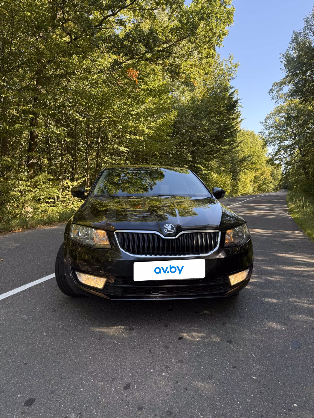 Skoda Octavia фото 6