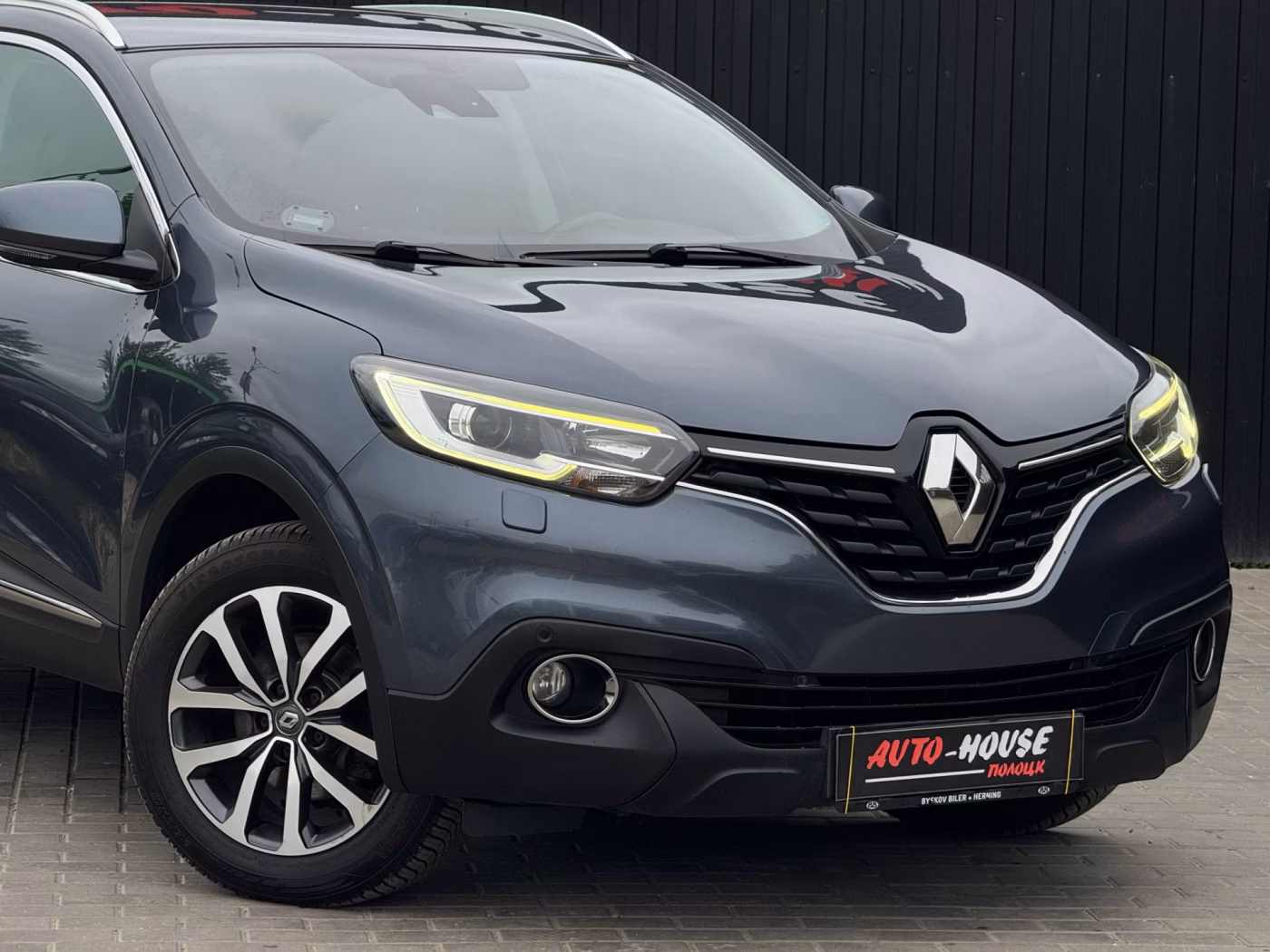 Renault Kadjar фото 23