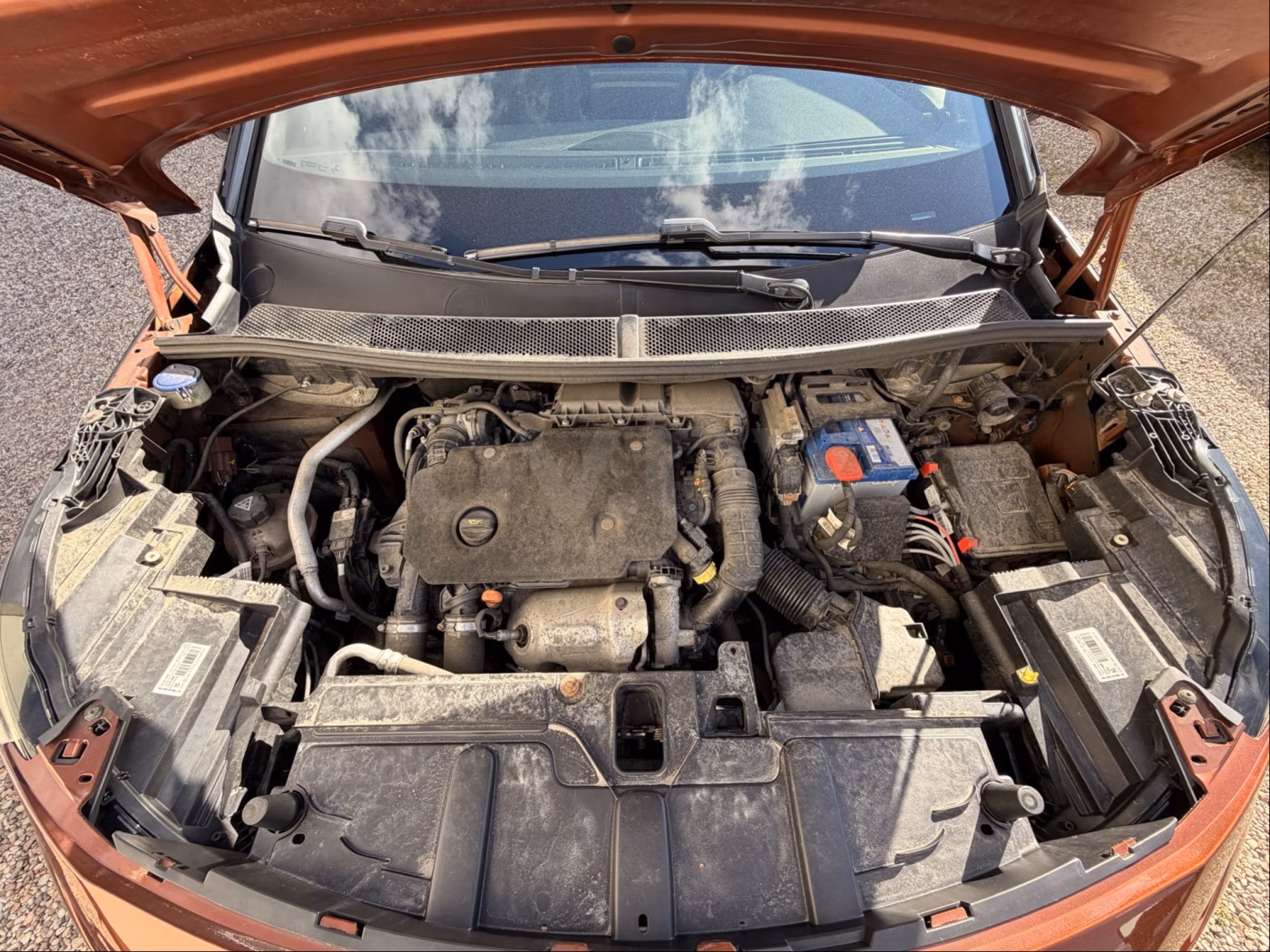 Peugeot 3008 фото 8