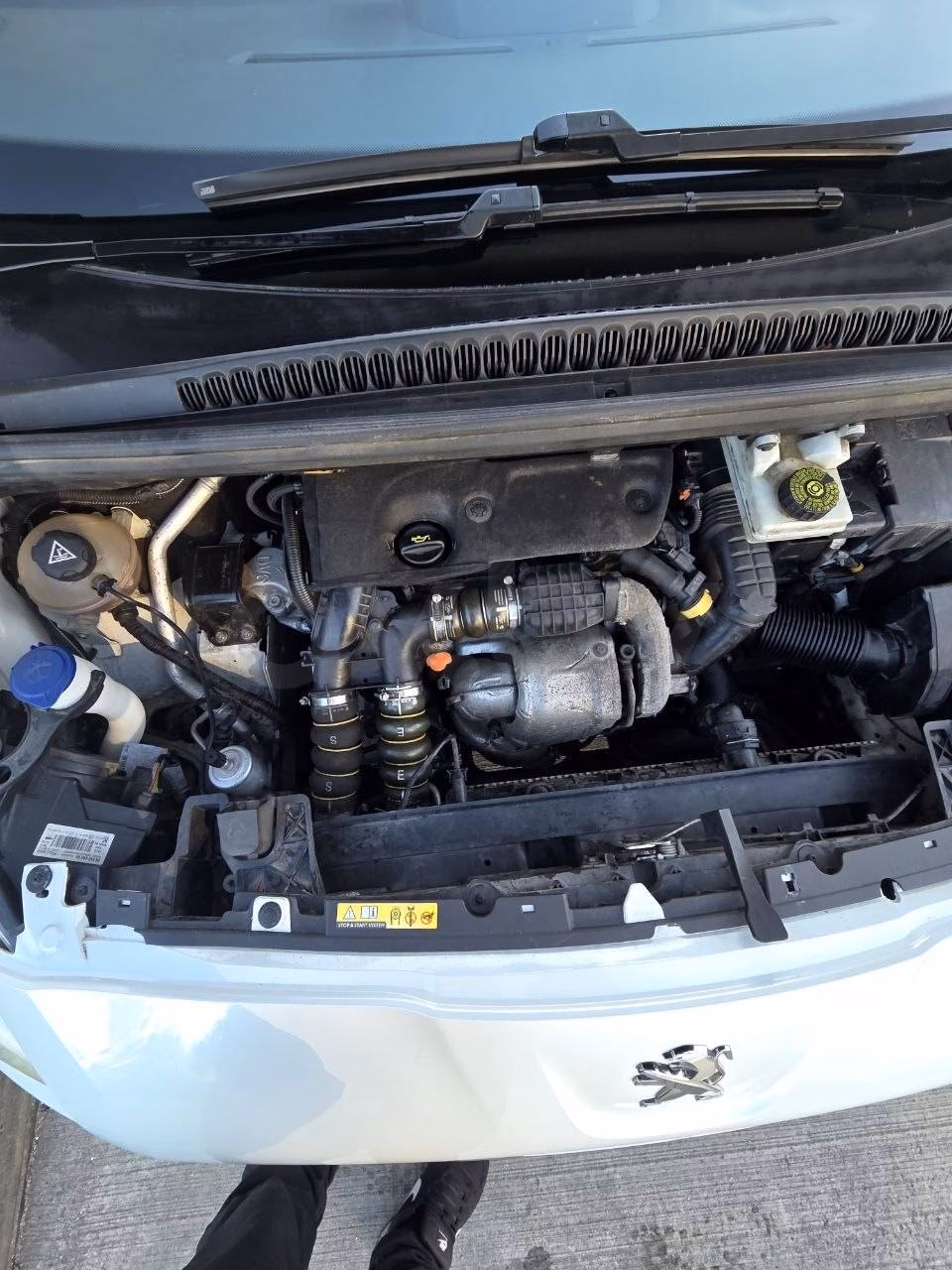 Peugeot 5008 фото 14