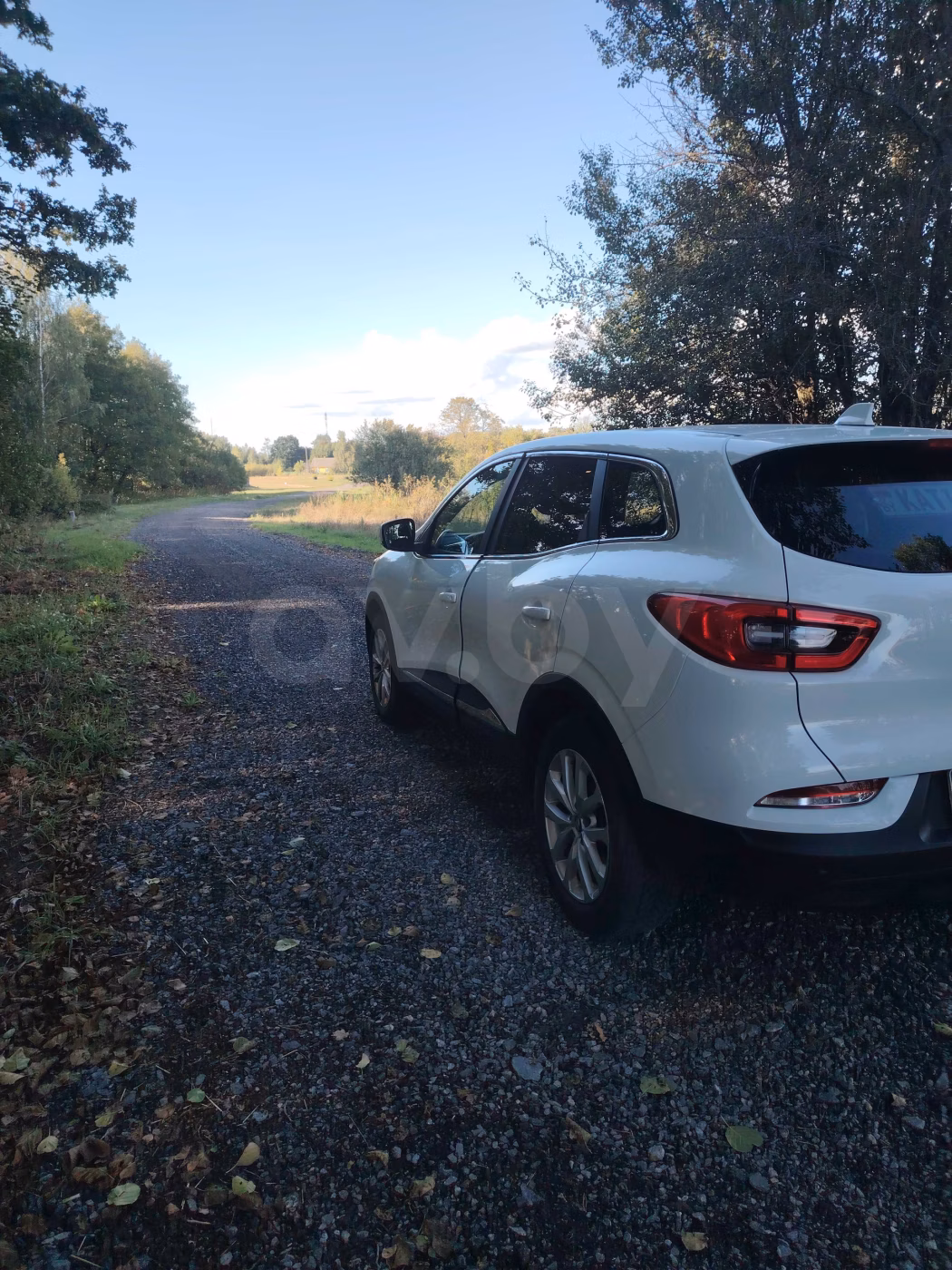 Renault Kadjar фото 5