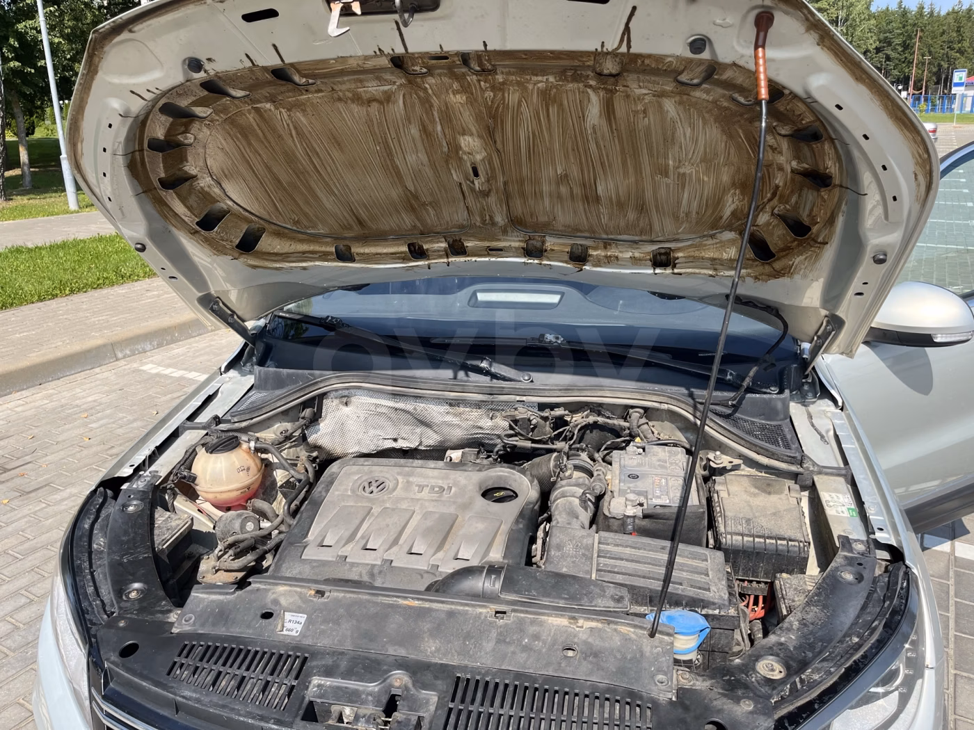 Volkswagen Tiguan фото 9