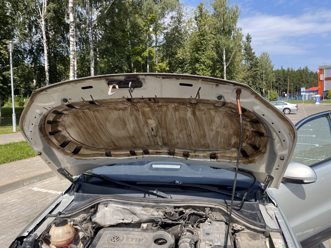 Volkswagen Tiguan фото 12