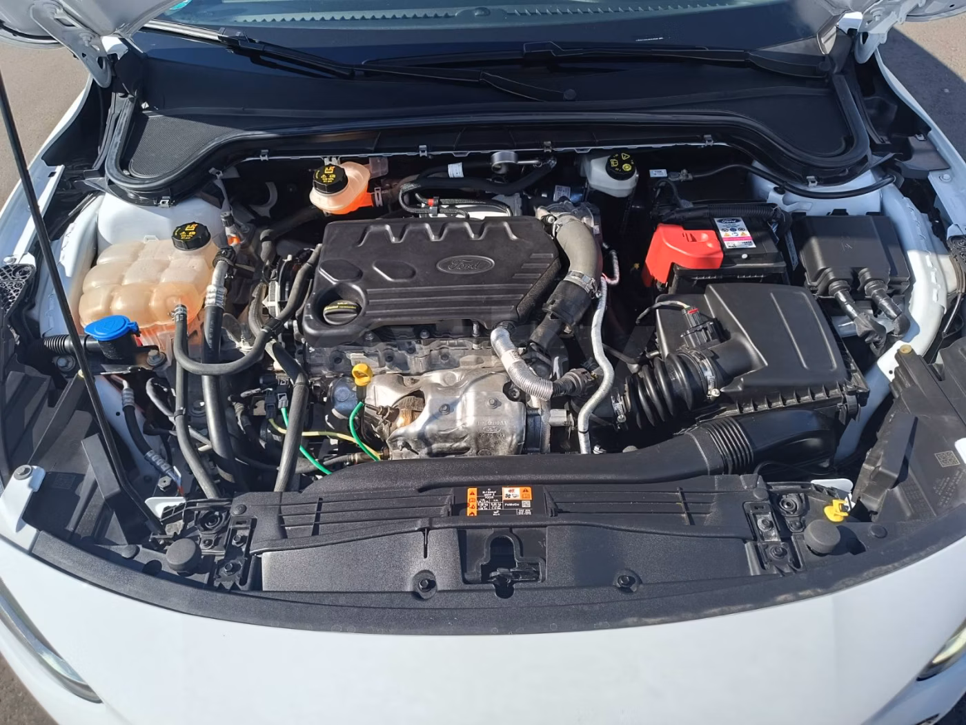 Ford Focus фото 21