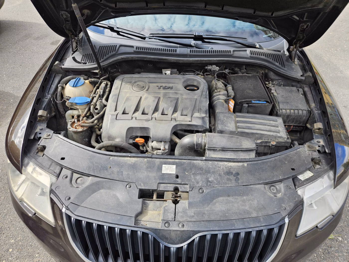 Skoda Superb фото 10