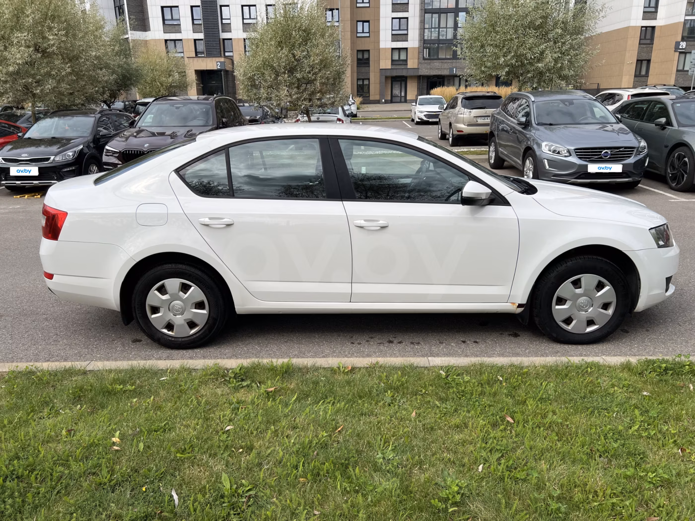 Skoda Octavia фото 6