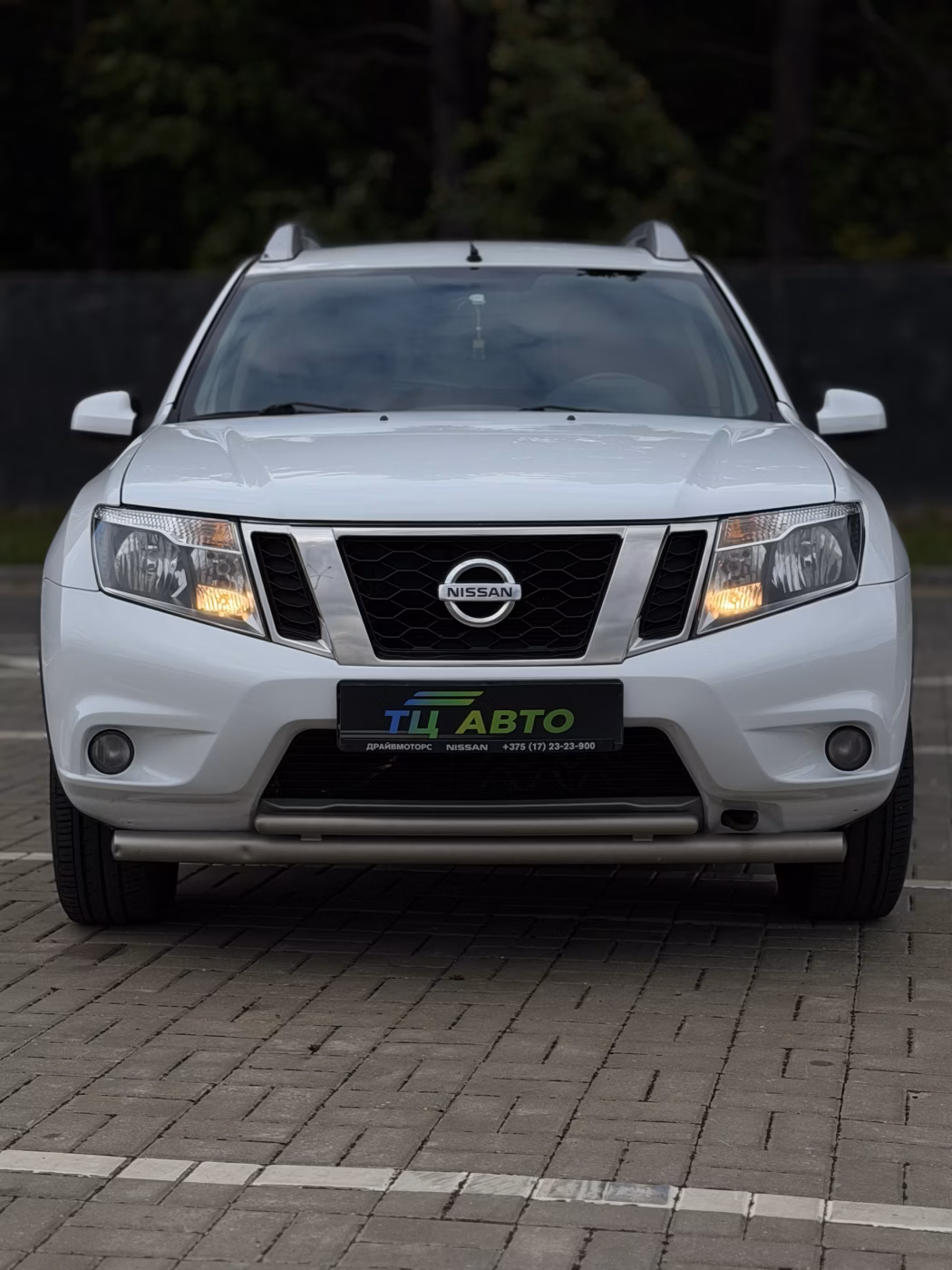 Nissan Terrano фото 4