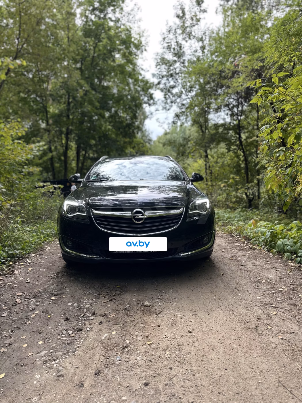 Opel Insignia фото 4