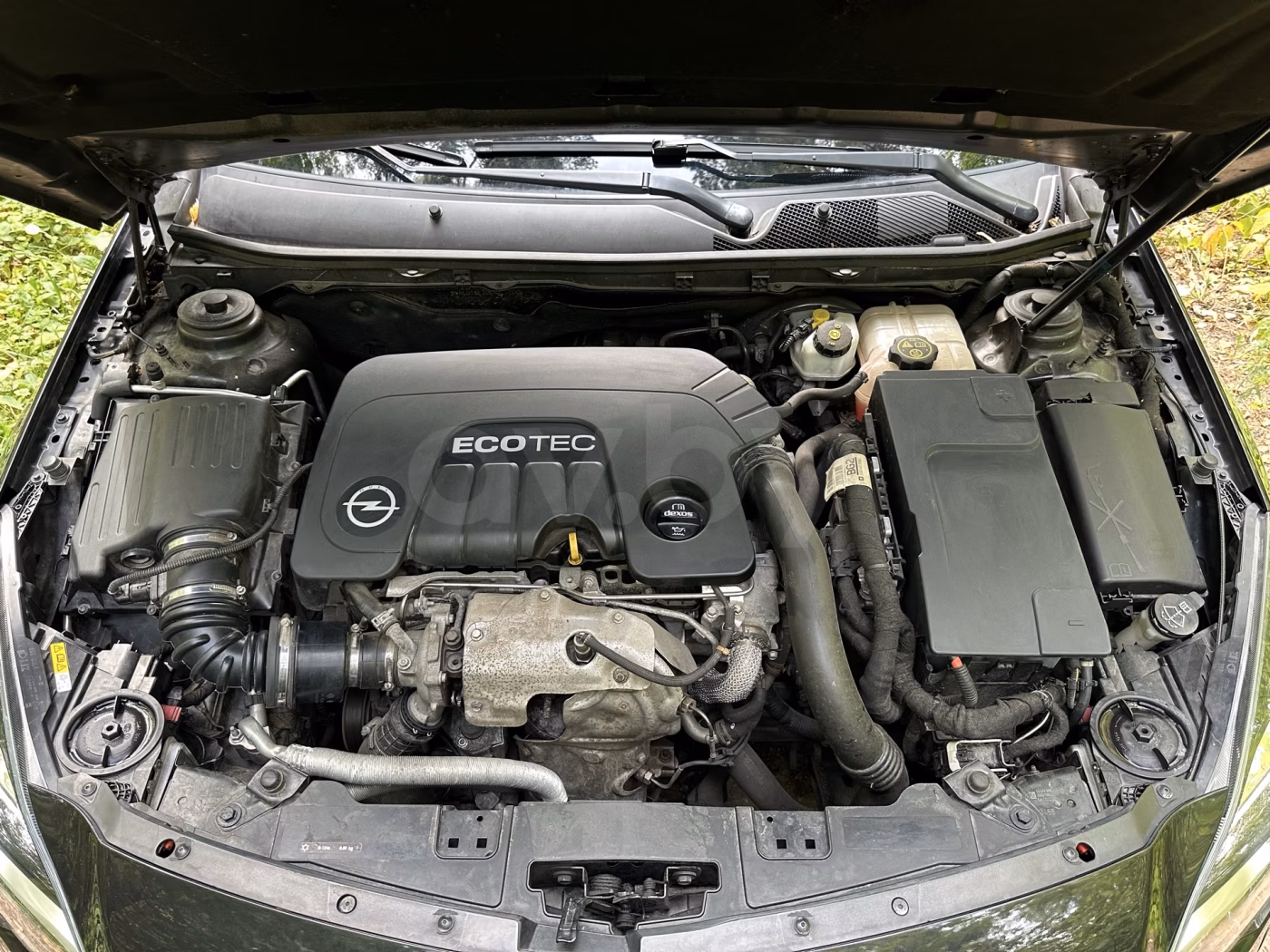 Opel Insignia фото 14