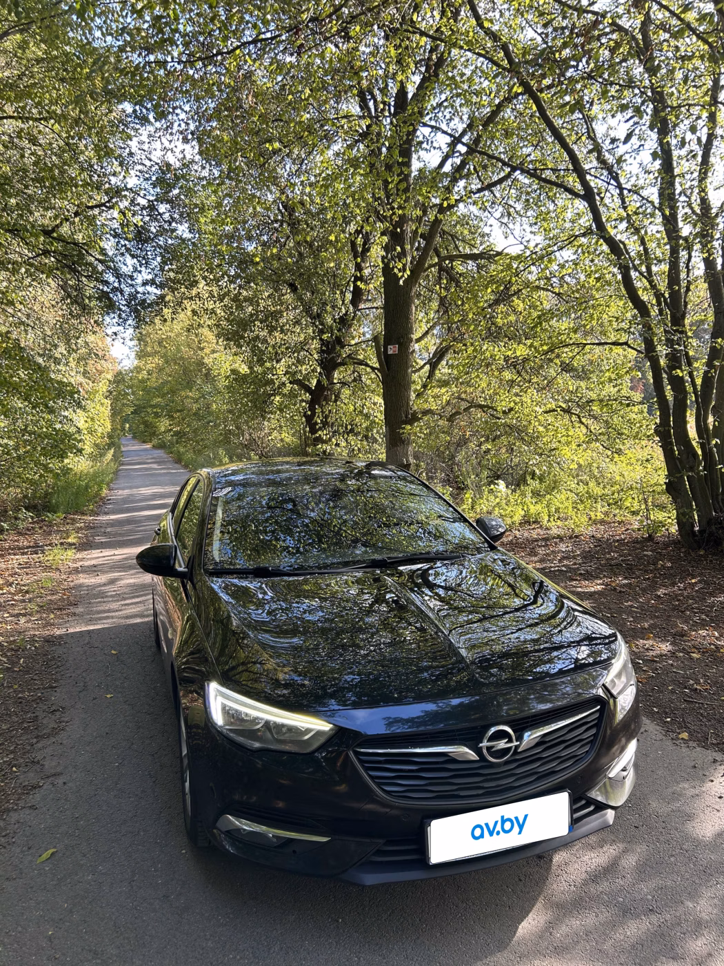 Opel Insignia фото 2