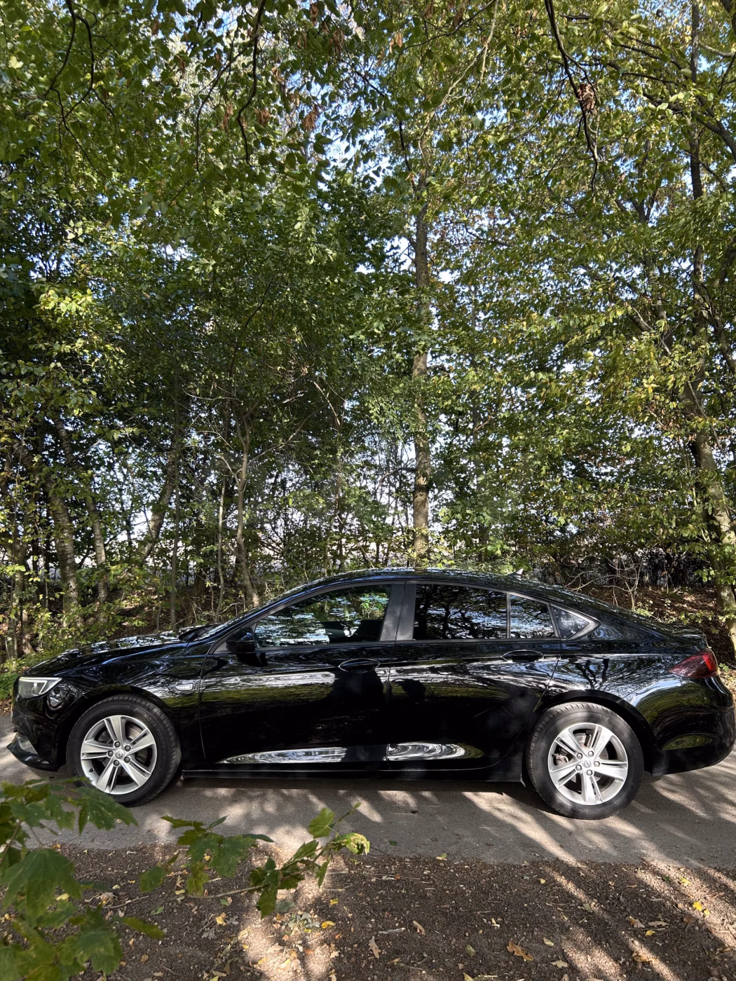Opel Insignia фото 3