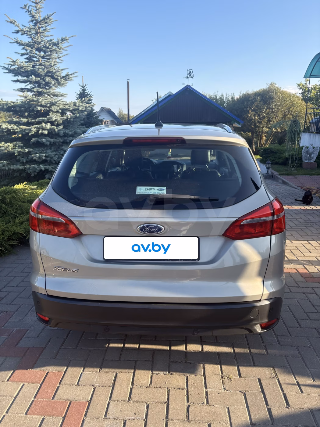 Ford Focus фото 4