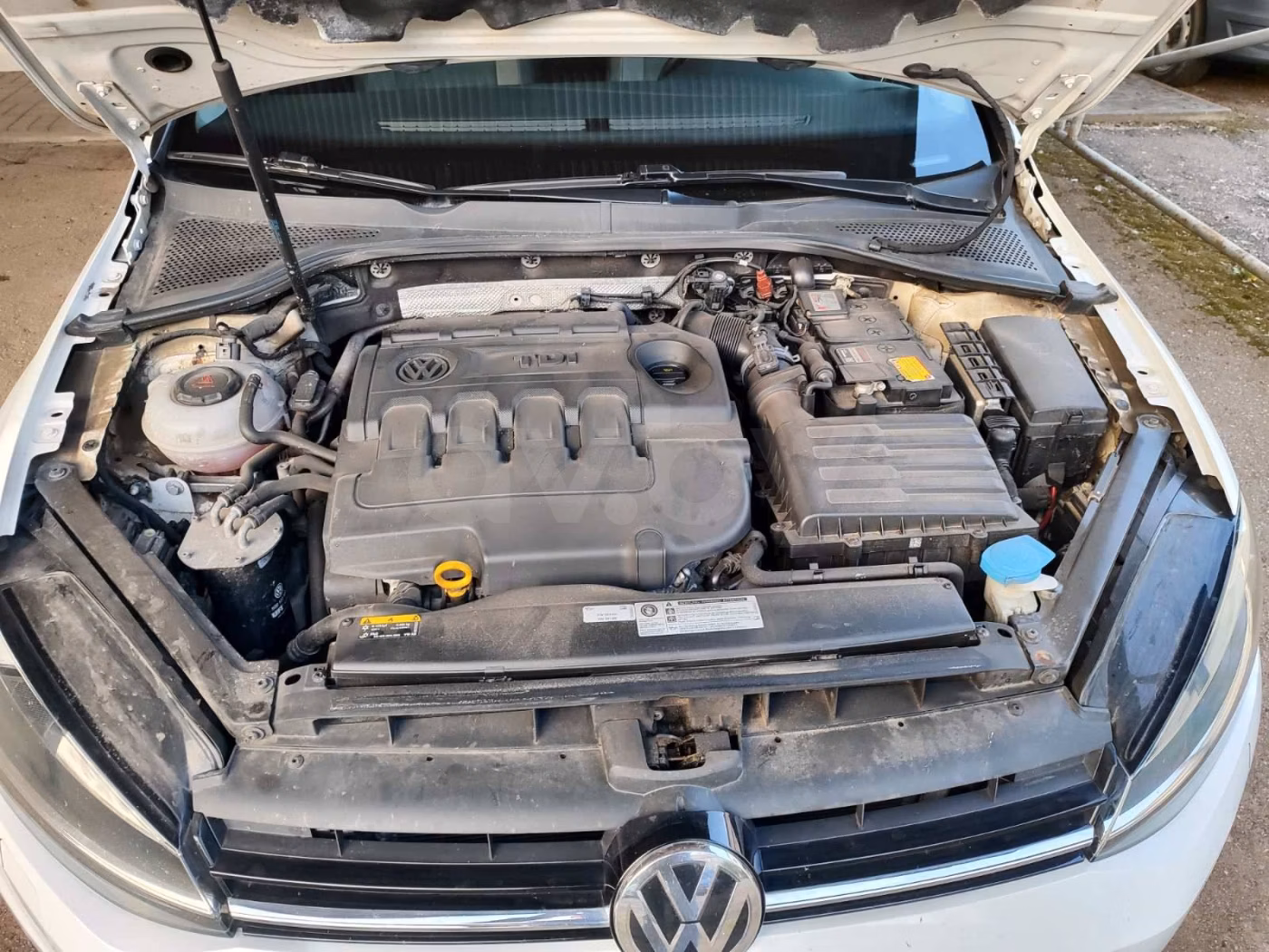 Volkswagen Golf фото 5