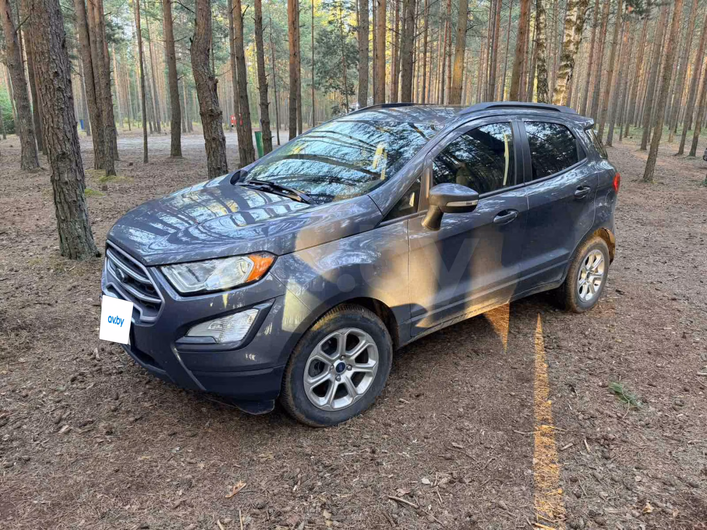 Ford EcoSport фото 6