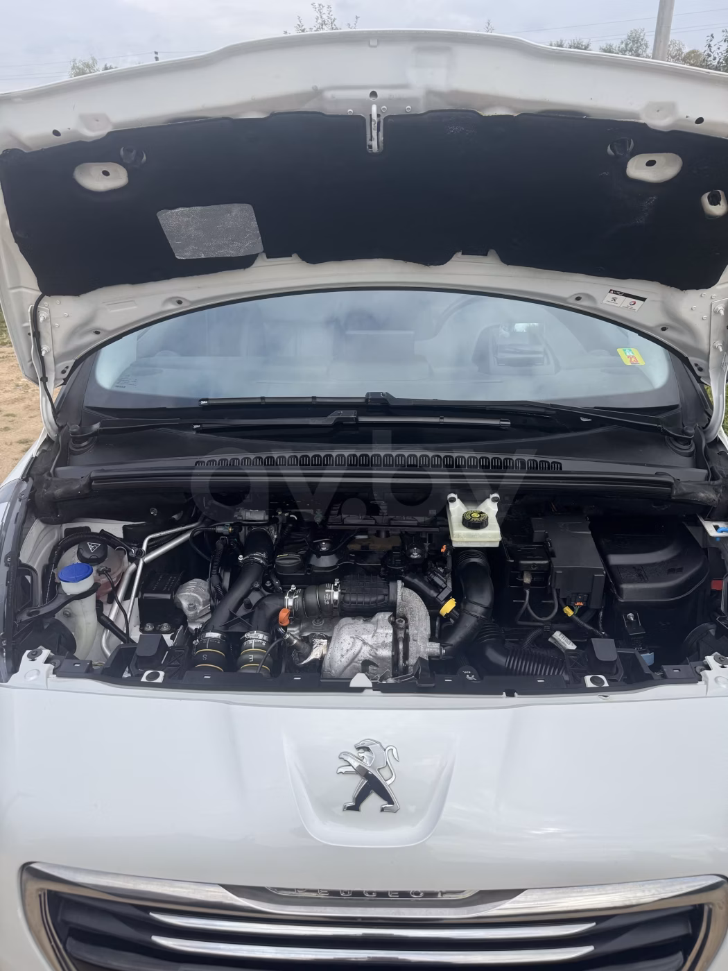 Peugeot 5008 фото 8