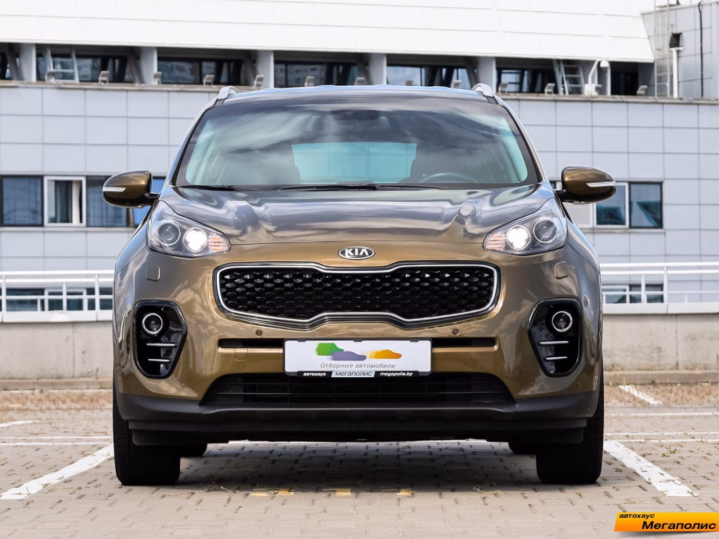 Kia Sportage фото 2