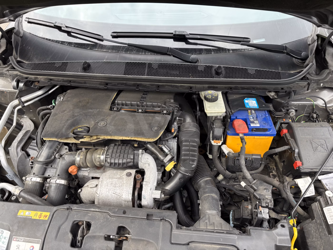Peugeot 308 фото 13