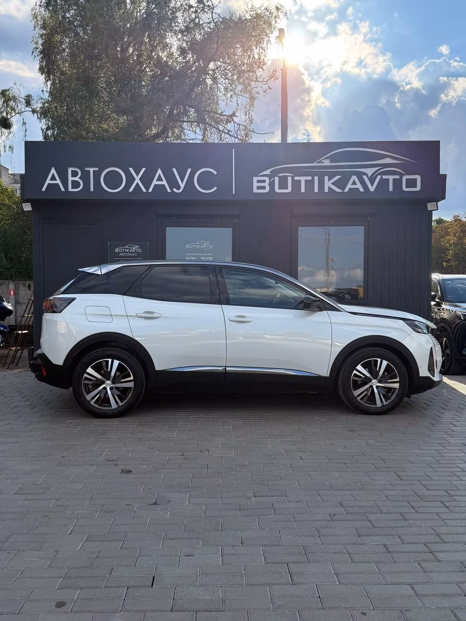 Peugeot 3008 фото 8