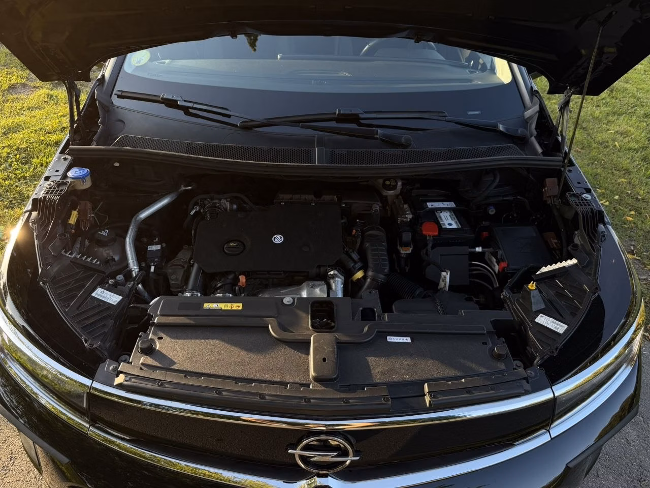 Opel Grandland X фото 20