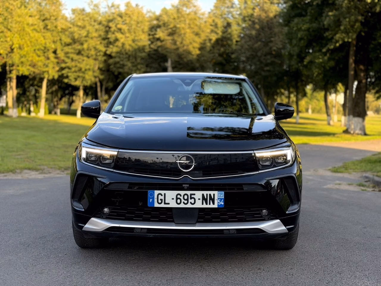 Opel Grandland X фото 2