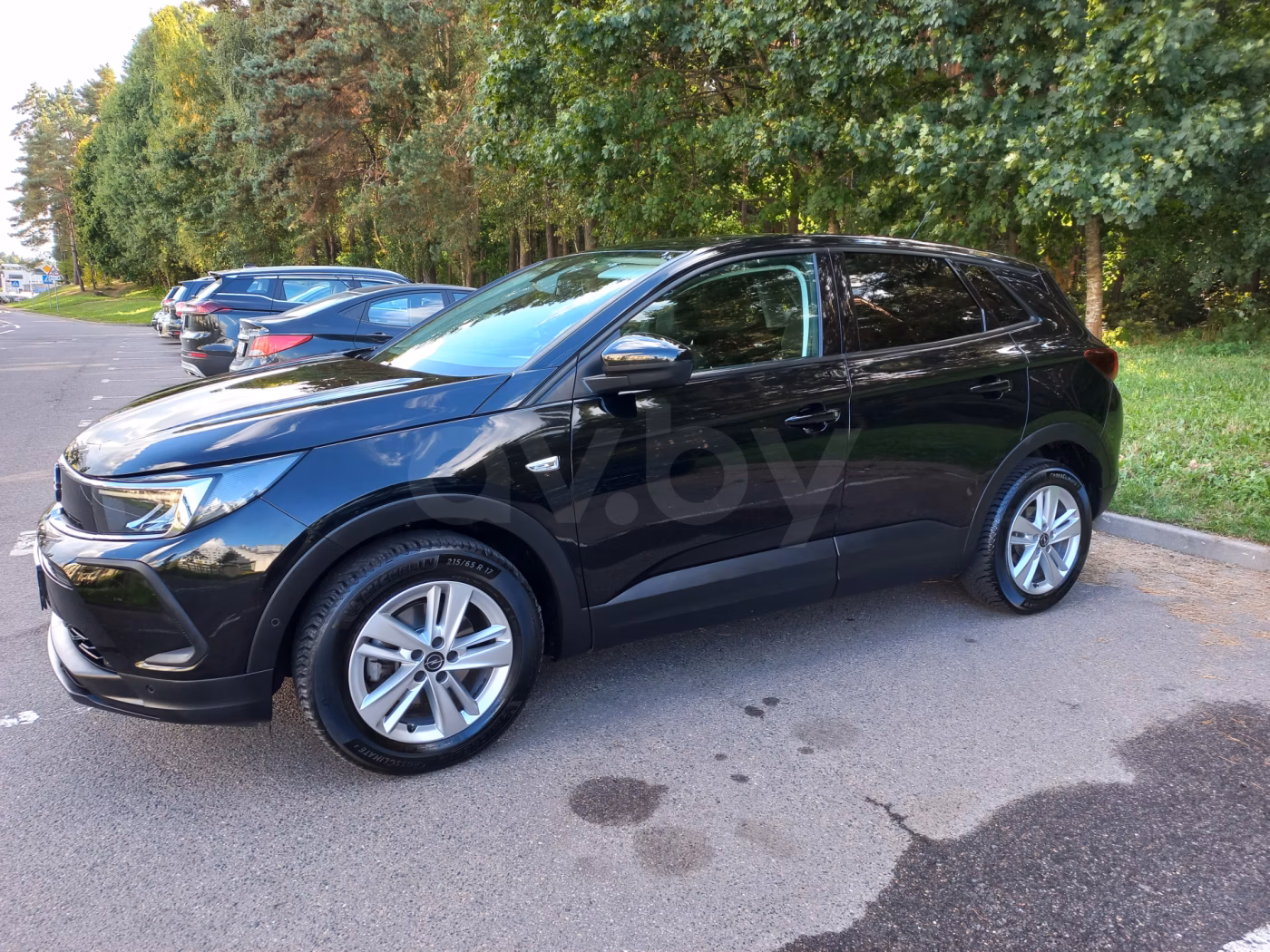 Opel Grandland X фото 4
