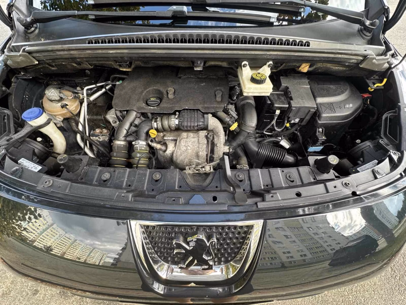 Peugeot 3008 фото 13