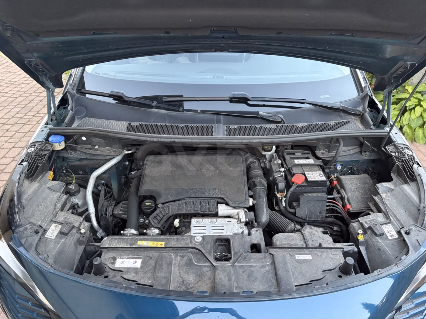 Peugeot 5008 фото 10