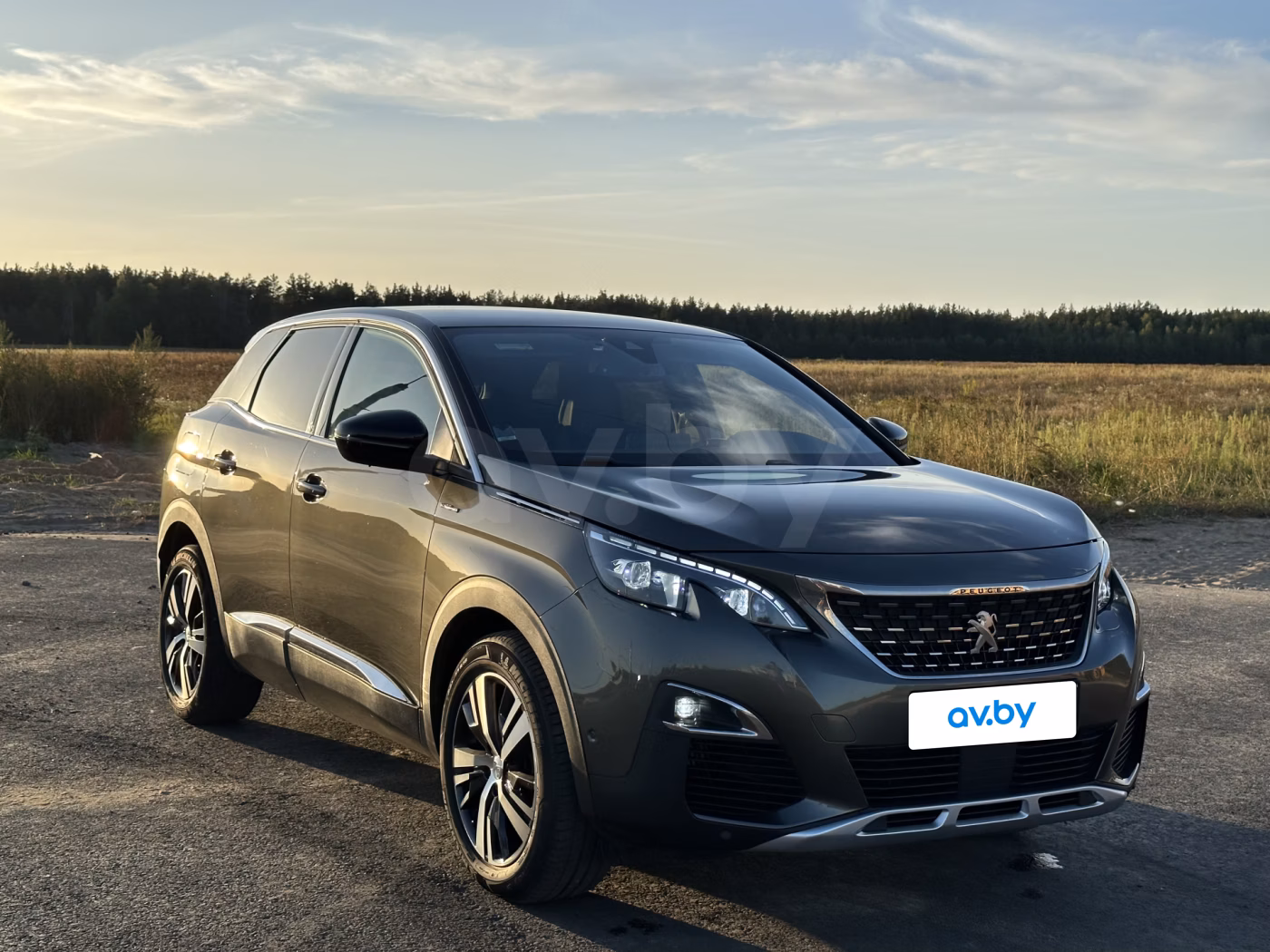 Peugeot 3008 фото 10