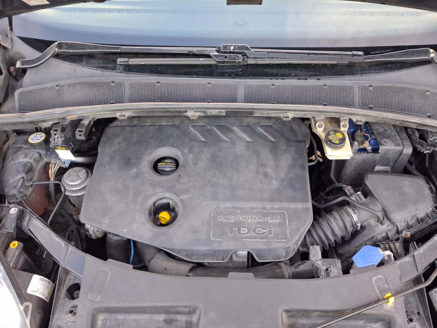 Ford Galaxy фото 30
