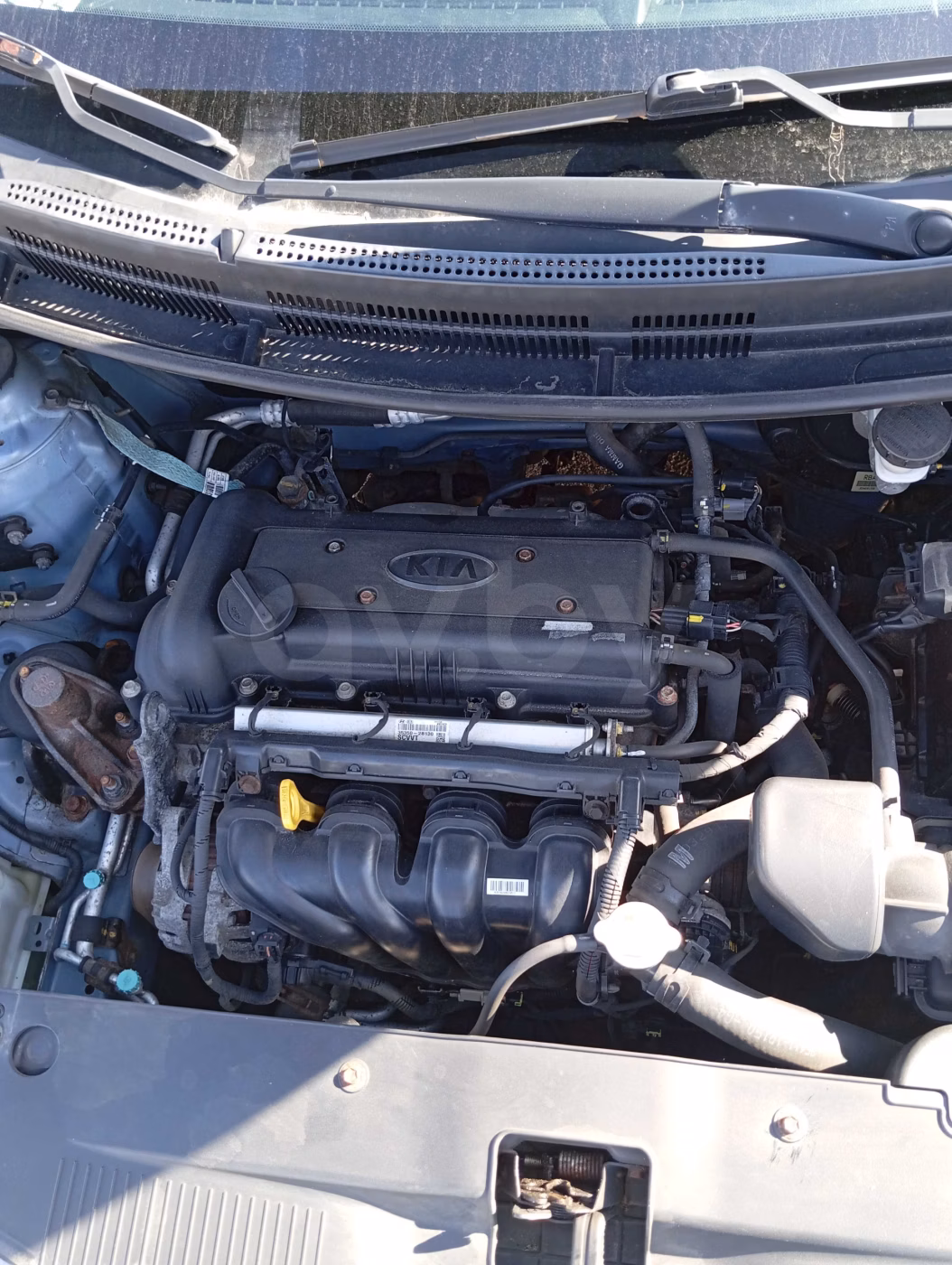 Kia Rio фото 8
