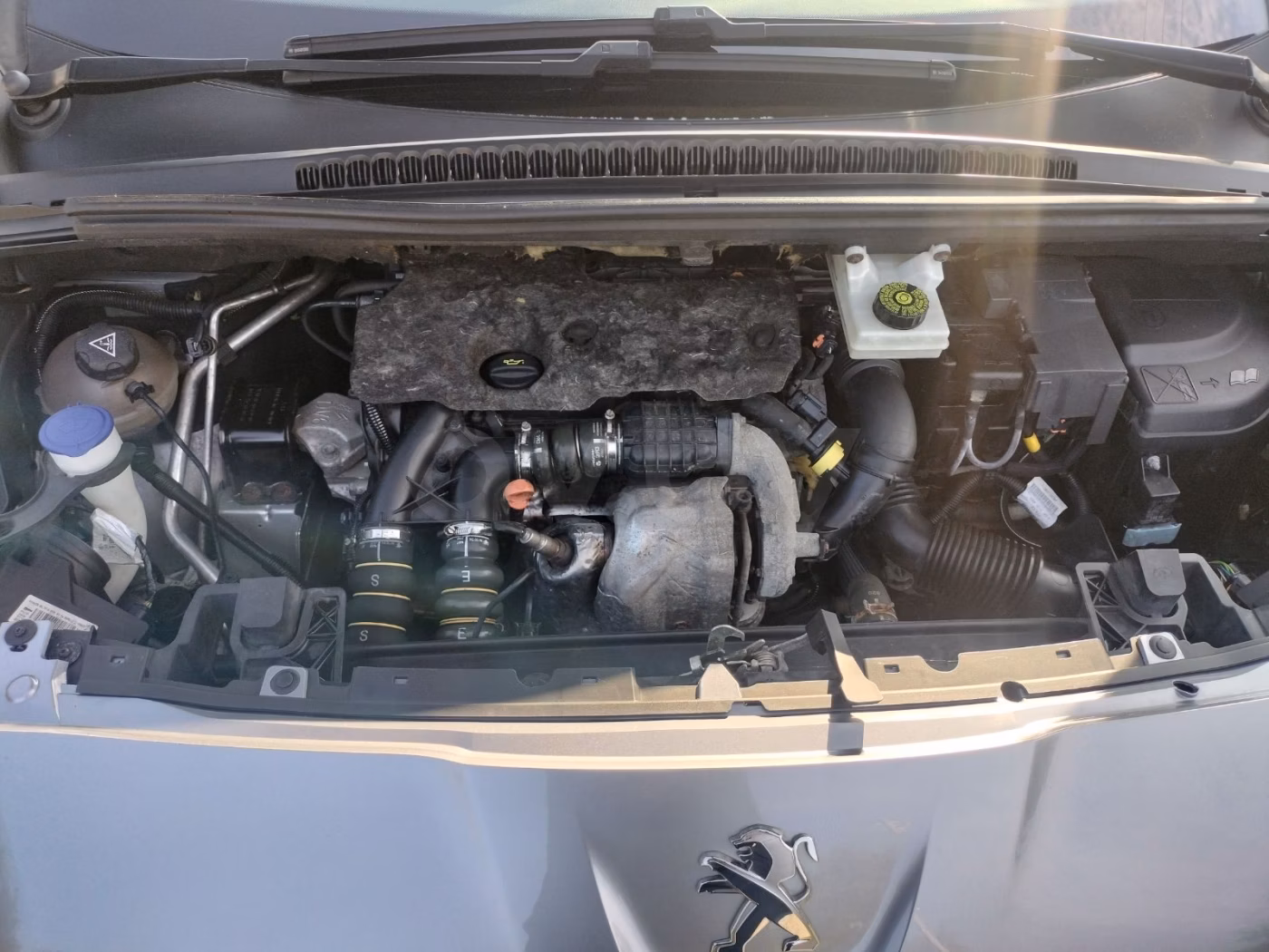 Peugeot 5008 фото 16