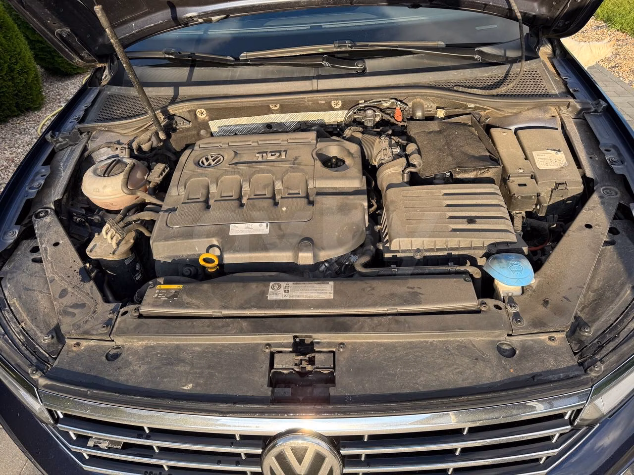 Volkswagen Passat фото 13