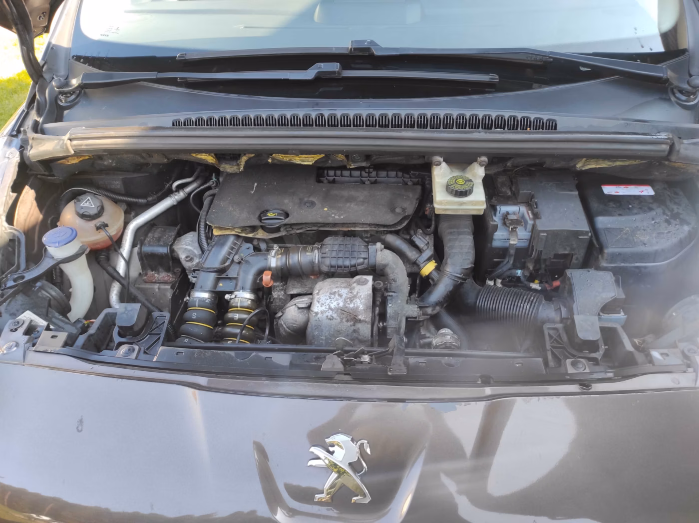 Peugeot 5008 фото 17