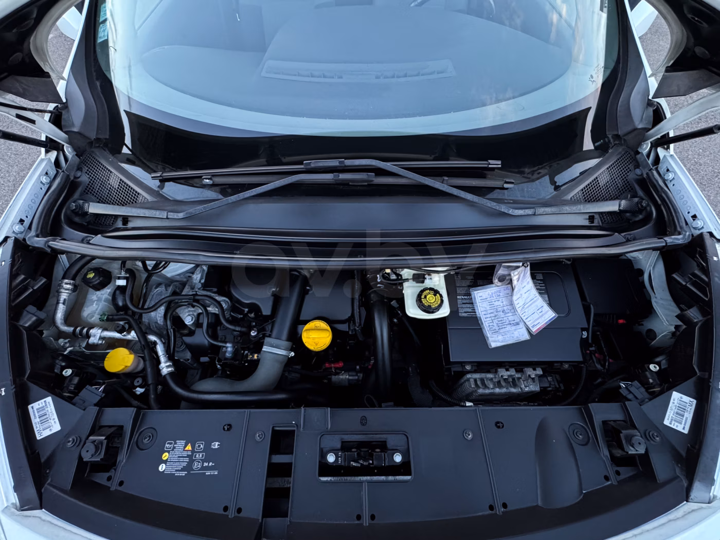 Renault Scenic фото 28