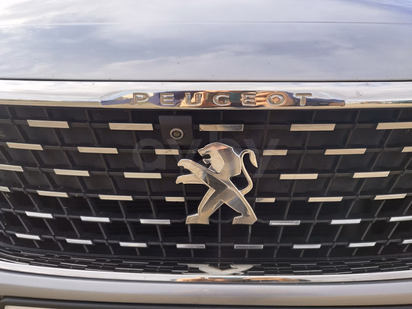 Peugeot 3008 фото 22