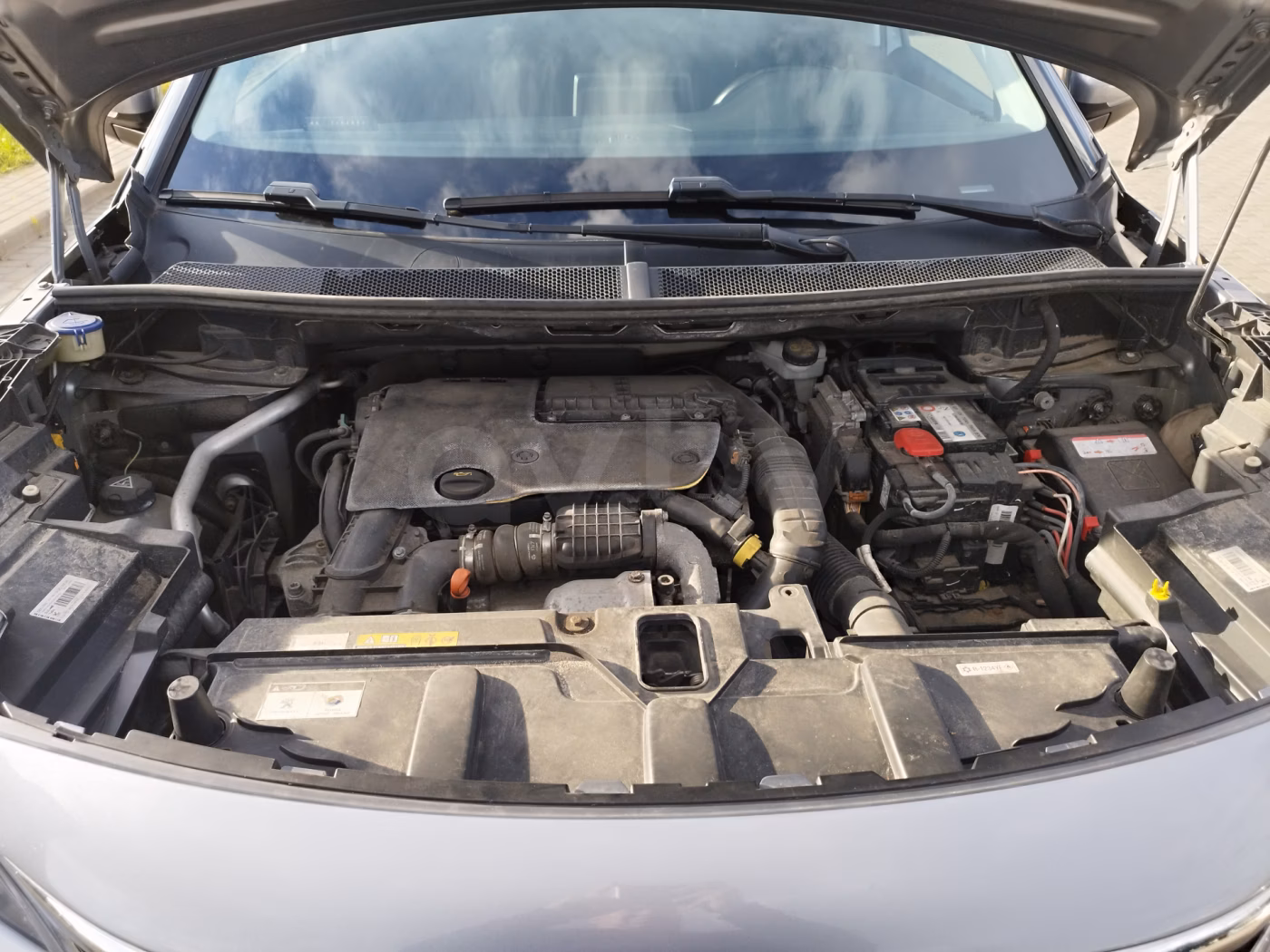 Peugeot 3008 фото 24