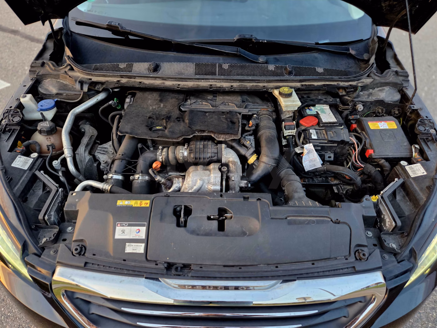 Peugeot 308 фото 22