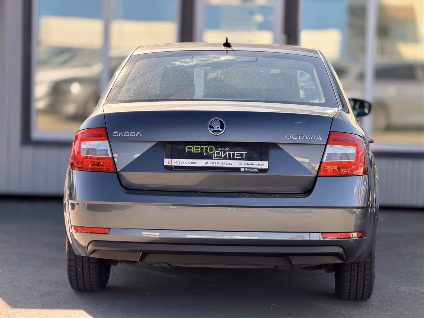 Skoda Octavia фото 8
