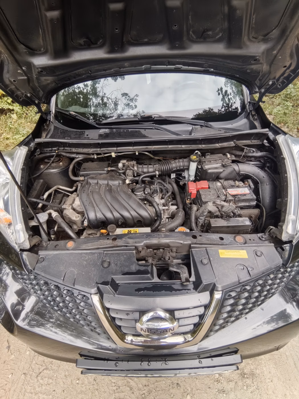 Nissan Juke фото 2