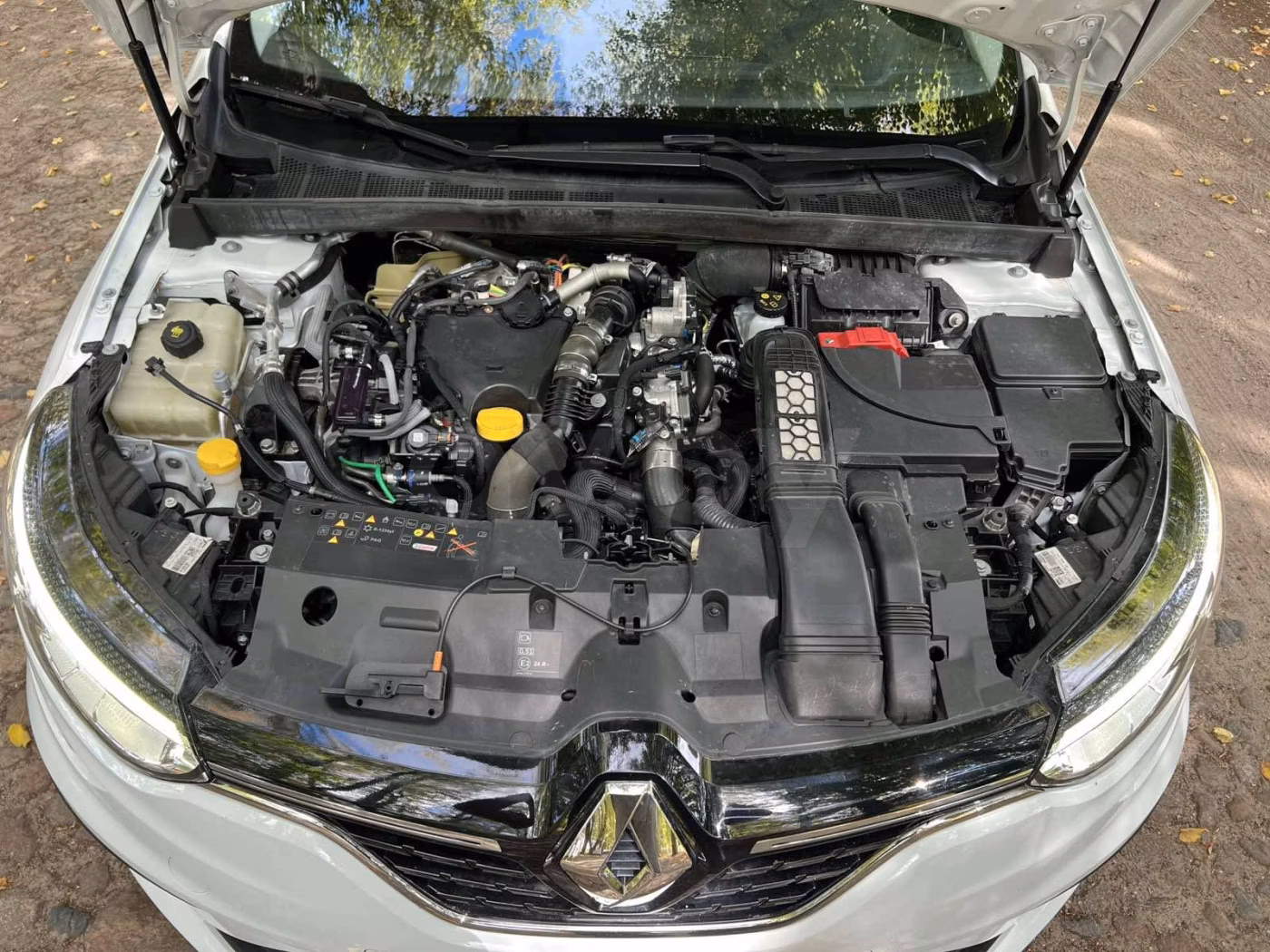 Renault Megane фото 18