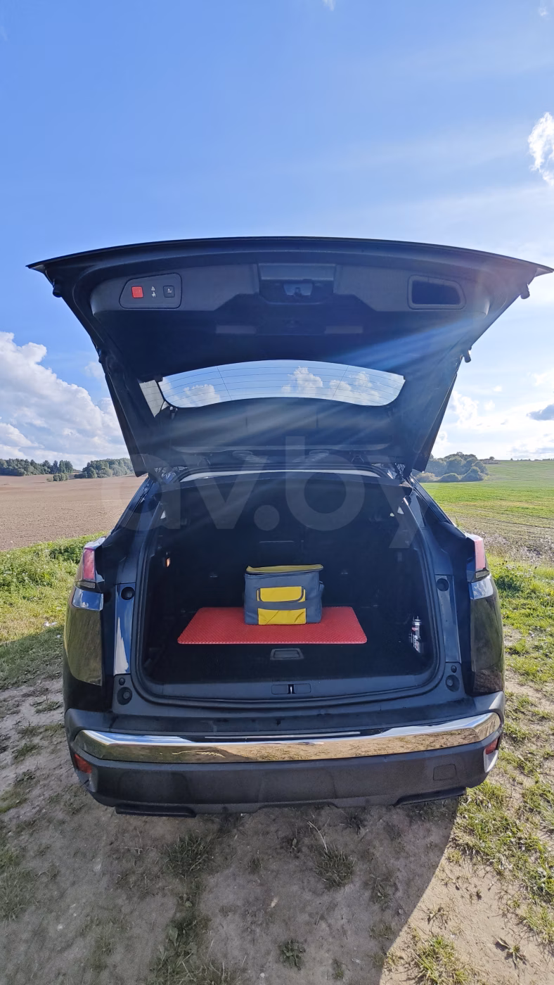 Peugeot 3008 фото 8