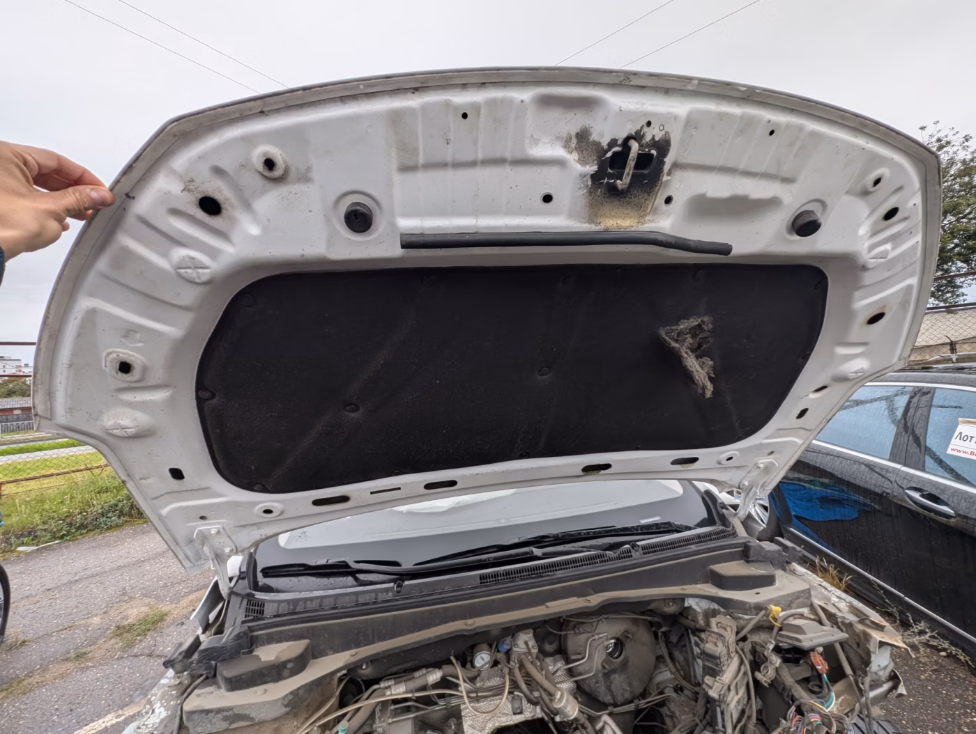 BAIC U5 Plus фото 15