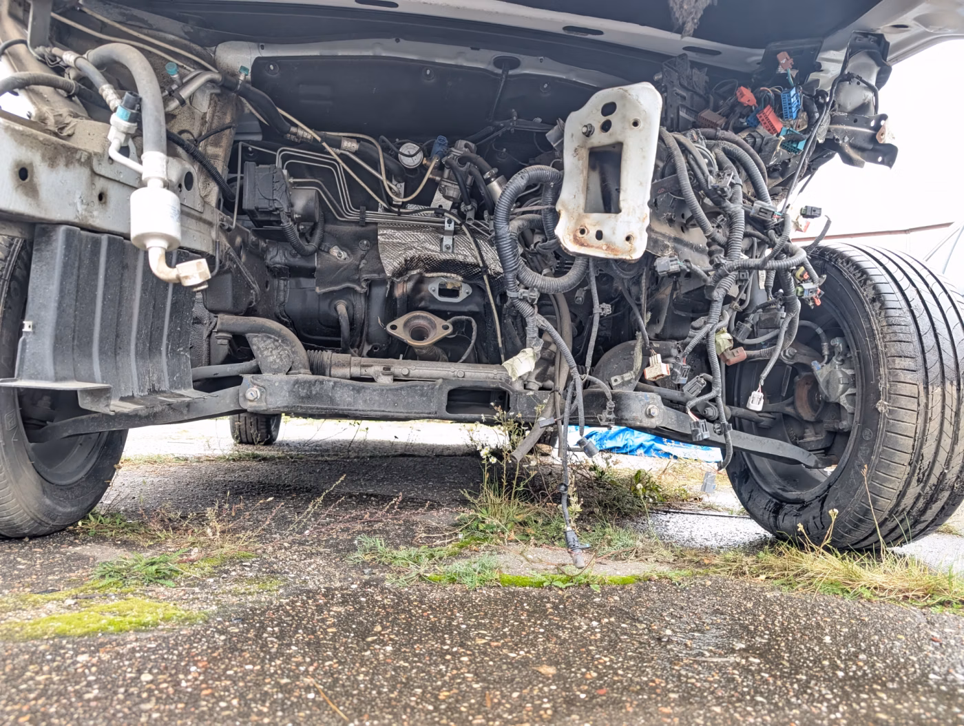 BAIC U5 Plus фото 17