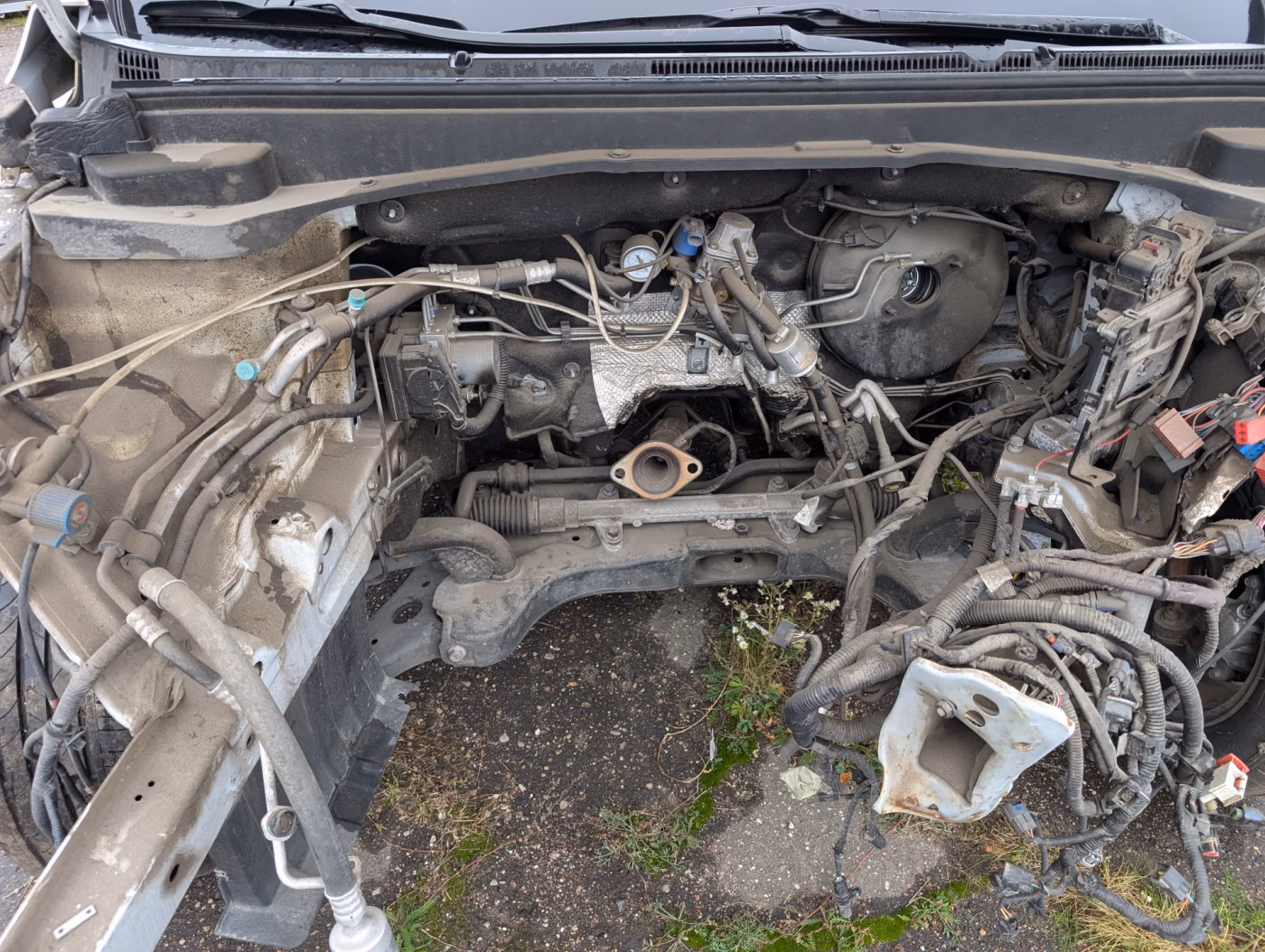 BAIC U5 Plus фото 13